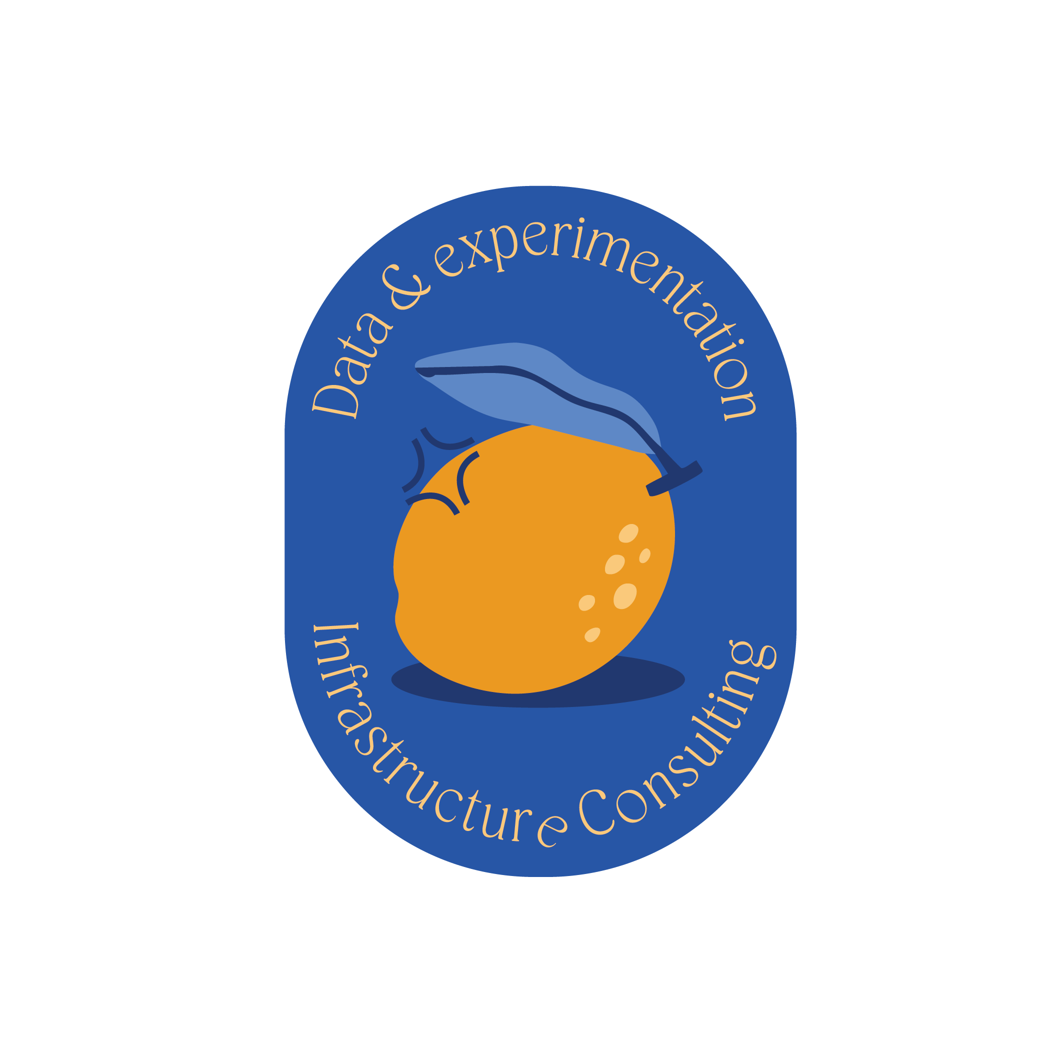 Data & infrastructure consulting badge